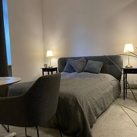 Spacious In The Heart Of Poznan,old Town Apartment Poznan