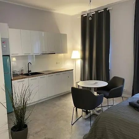 Apartment Spacious In The Heart Of Poznan,old Town *