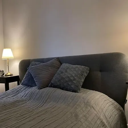 公寓 Spacious In The Heart Of Poznan,old Town *